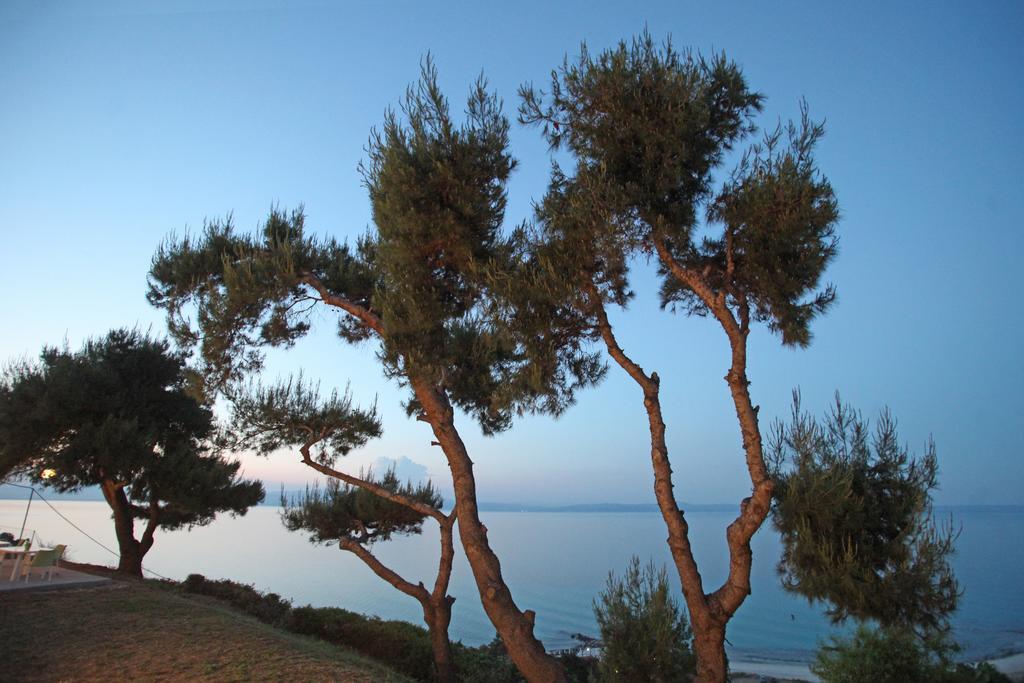 Sea View Apollo Apartments & Studios In Афитос Екстериор снимка